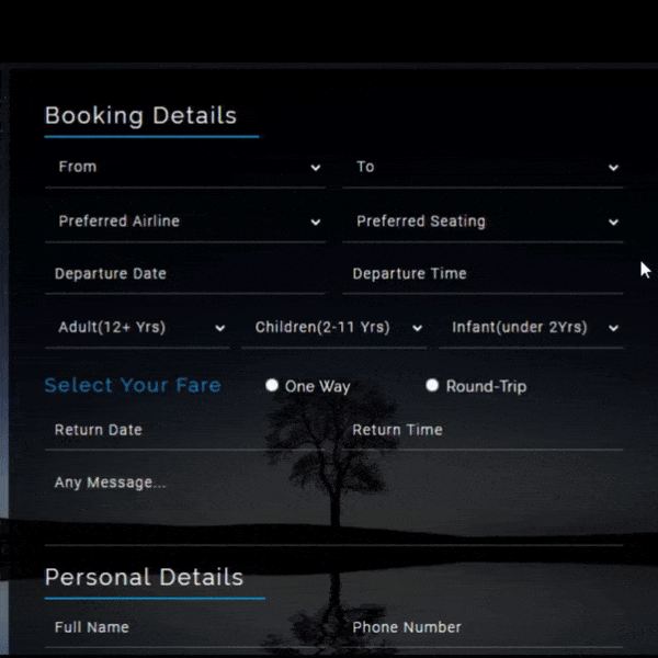 Create a User-Friendly Airline Booking Form with HTML and CSS.gif